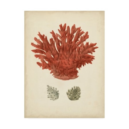 Vision Studio 'Antique Red Coral Iii' Canvas Art,35x47